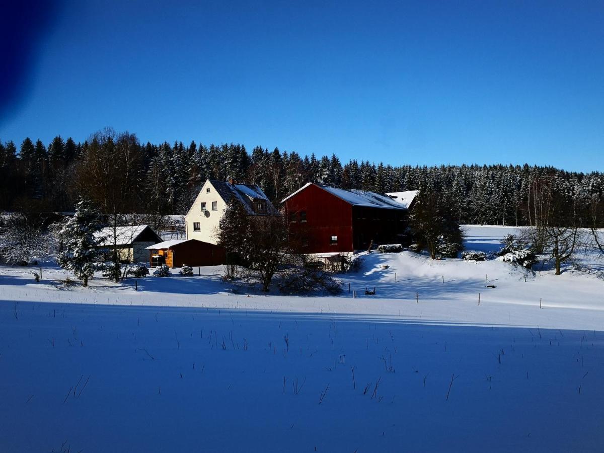 Ferienwohnungen 1 Bis 4 "Pumphut'S Scheune" Lengenfeld  Экстерьер фото