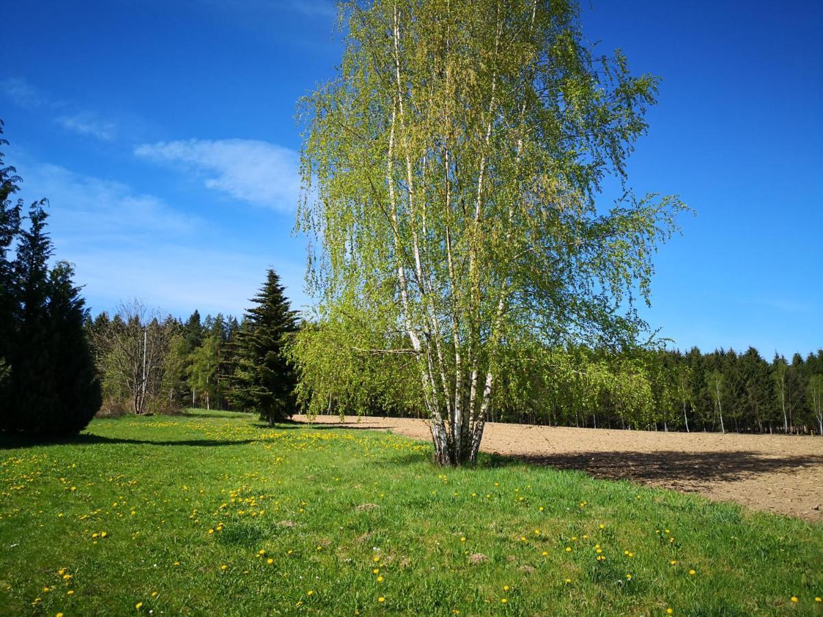 Ferienwohnungen 1 Bis 4 "Pumphut'S Scheune" Lengenfeld  Экстерьер фото